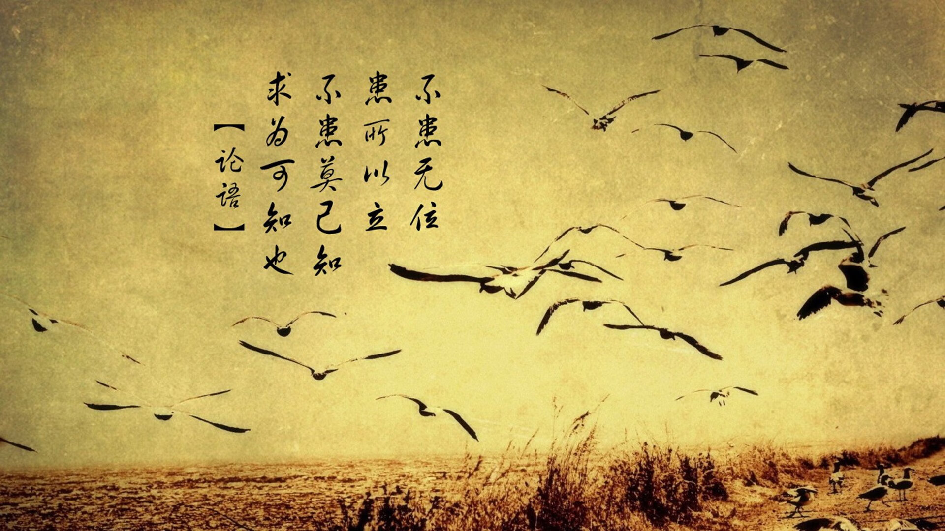 AYX GAMES-核心球员：王强全场贡献15分，关键时刻熟不畏难！，王强官网