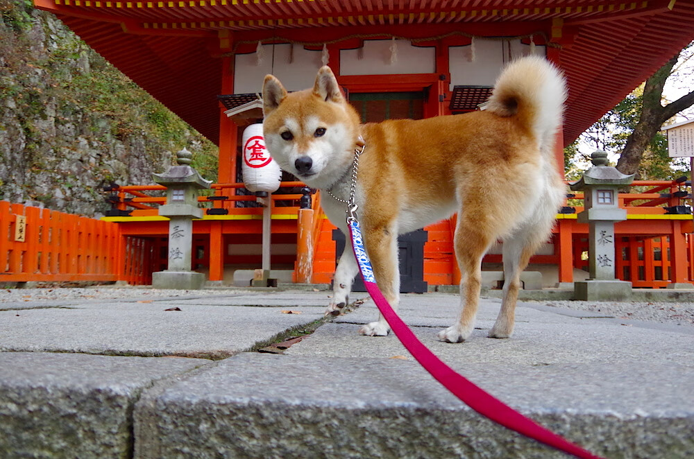 爱游戏官方-乒乓球赛事场外：选手备战紧张进行，比赛乒乓